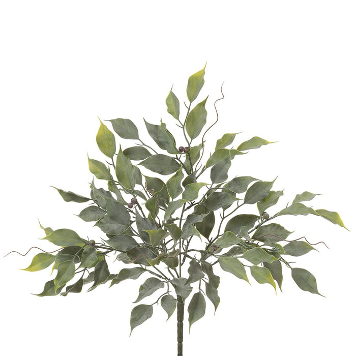 16" Silk Ficus Leaf Plant -Green (pack of 12) - PBF592-GR