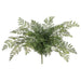 23" Hen And Chicken Fern Leaf Artificial Plant -Green (Pack of 6) - PBF831-GR