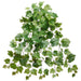 30" Hanging Grape Leaf Silk Plant -2 Tone Green (pack of 6) - PBG030-GR/TT