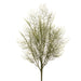 21" Artificial Tassel Grass Plant -Green (Pack of 12) - PBG361-GR