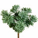 9" Artificial Succulent Plant -Frosted Green (Pack of 24) - PBG887-GR/FS