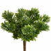 9" Artificial Succulent Plant -Green (Pack of 24) - PBG887-GR