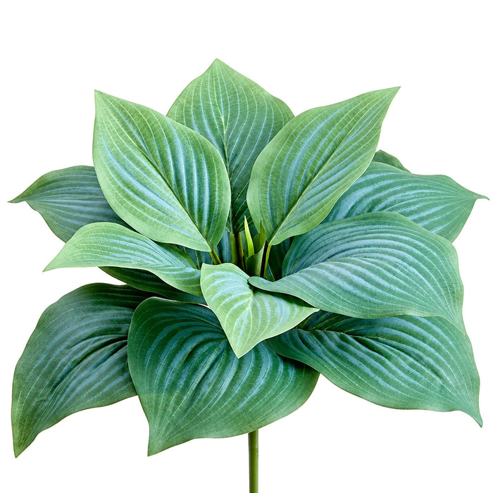 7" Silk Hosta Leaf Plant -Frosted Green (Pack of 12) - PBH007-GR/FS