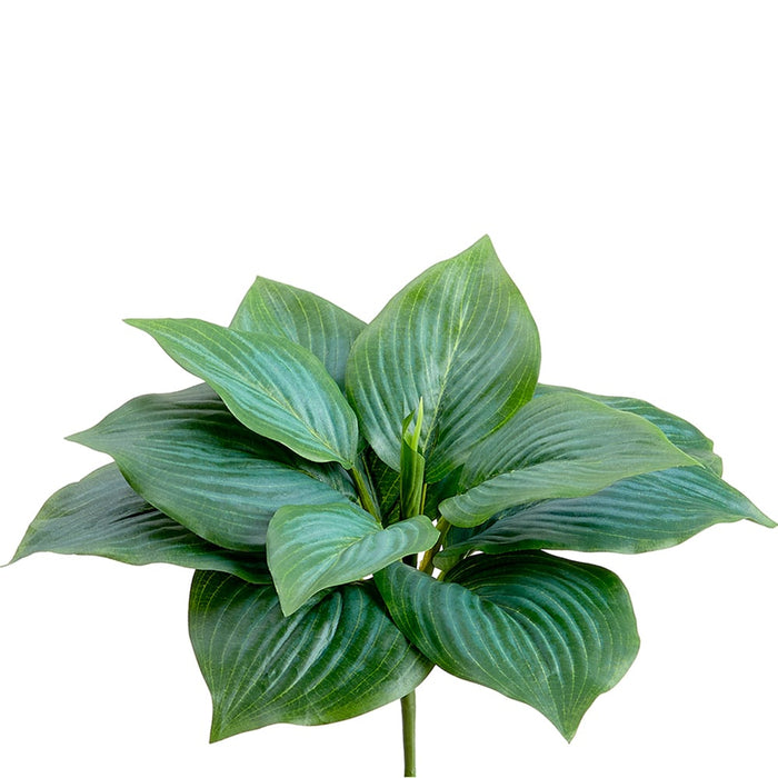 7" Silk Hosta Leaf Plant -Green (pack of 12) - PBH007-GR