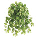 20" Hoya Ivy Silk Hanging Plant -Green/Cream (pack of 12) - PBH018-GR/CR