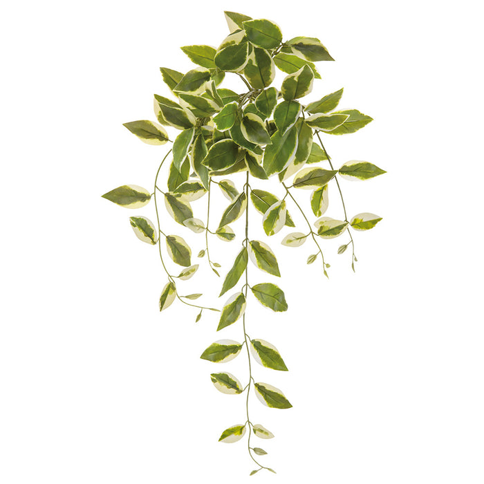 28" Hanging Artificial Hoya Carnosa Leaf Plant -Green/Cream (Pack of 12) - PBH161-GR/CR