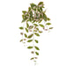 28" Hanging Artificial Hoya Carnosa Leaf Plant -Green/Pink (Pack of 12) - PBH161-GR/PK