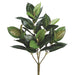 24" Rubber Silk Plant -Green (pack of 12) - PBH321-GR
