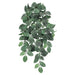 22" Fittonia Silk Hanging Plant -128 Leaves -Green/White (pack of 6) - PBH502-GR/WH