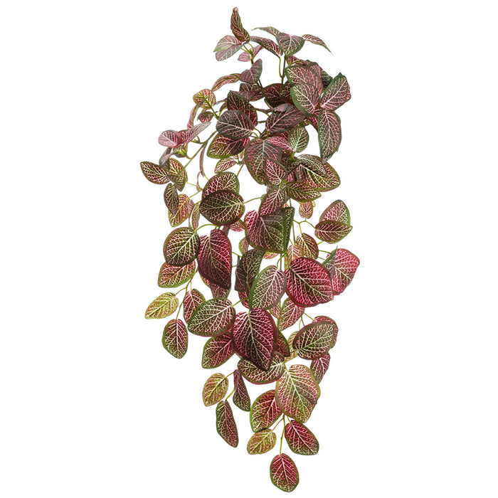 22" Fittonia Silk Hanging Plant -128 Leaves -Red/Green (pack of 6) - PBH502-RG/WH