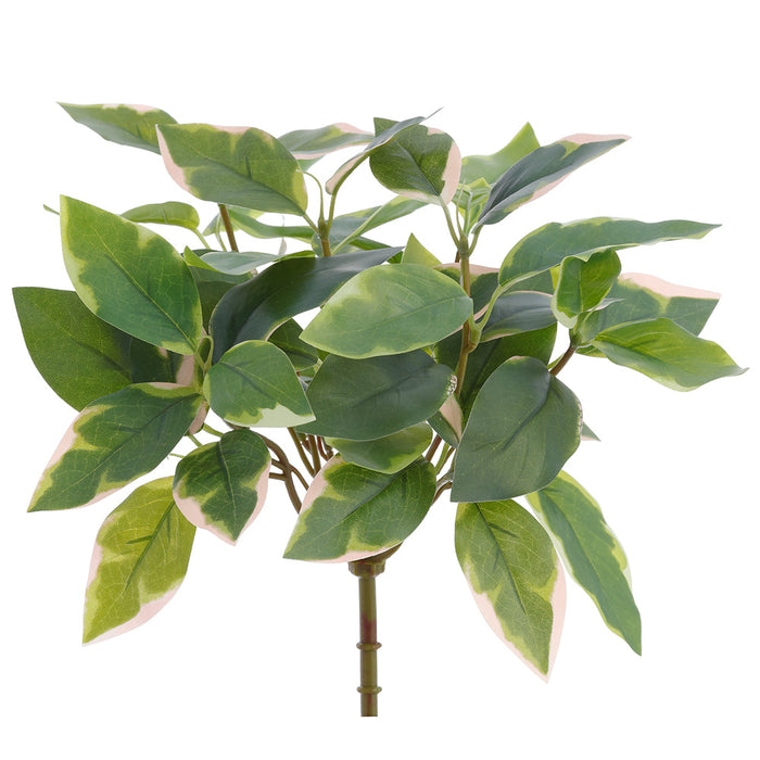15.5" Artificial Hoya Leaf Plant -Green/Pink (Pack of 12) - PBH538-GR/PK