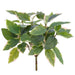 15.5" Artificial Hoya Leaf Plant -Green/Pink (Pack of 12) - PBH538-GR/PK