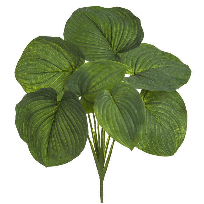 26" Silk Hosta Plant -Green (pack of 6) - PBH626-GR