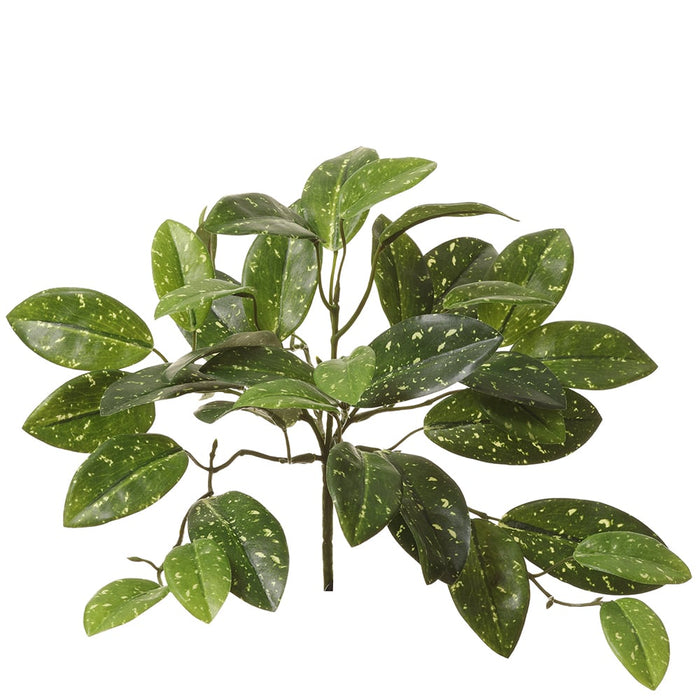 11" Silk Hoya Leaf Plant -Green (Pack of 12) - PBH960-GR