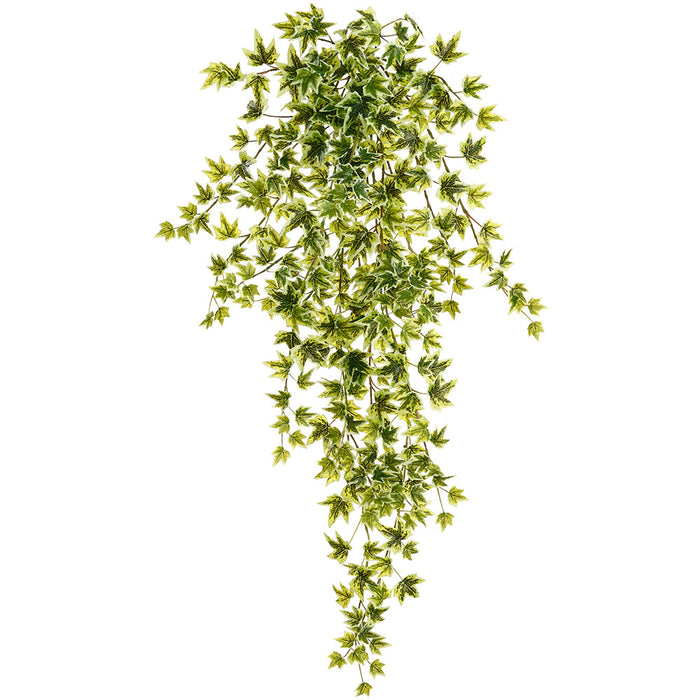 32" Hanging Ivy Leaf Silk Plant -Green/White (Pack of 6) - PBI003-GR/WH
