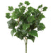 14.5" Silk Grape Ivy Leaf Plant -Green (Pack of 12) - PBI050-GR