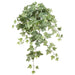 23.5" Hanging Ivy Leaf Silk Plant -Green/Variegated (pack of 6) - PBI174-GR/VG