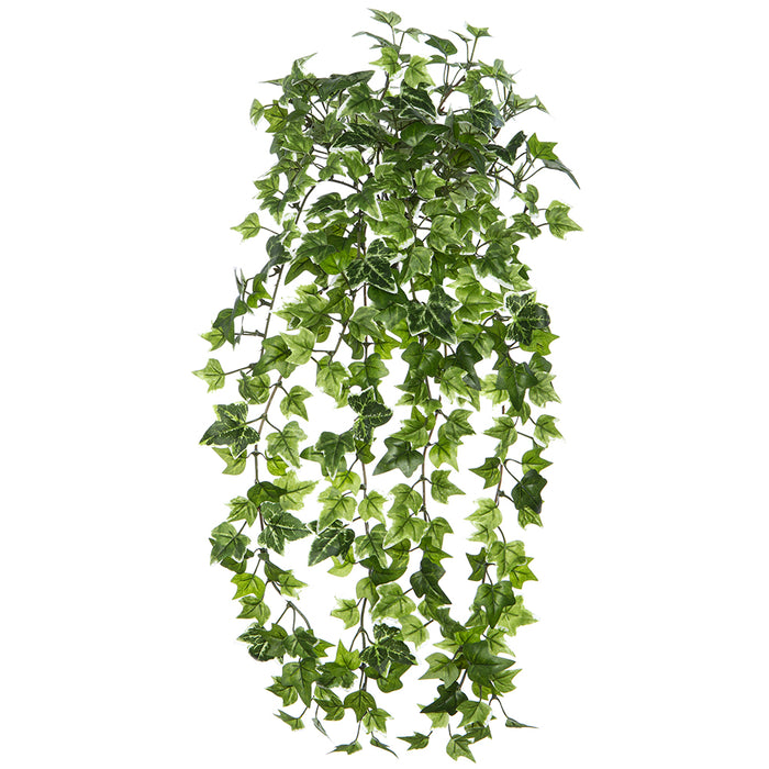 23" Mini Ivy Leaf Silk Hanging Plant -Green/Variegated (pack of 12) - PBI230-VG