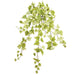 28" One-Piece Construction Ivy Silk Hanging Plant -144 Leaves -Cream/Green (pack of 6) - PBI240-CR/GR