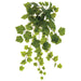 25" One-Piece Construction Grape Ivy Large Leaf Silk Hanging Plant -107 Leaves -Green (pack of 6) - PBI280-GR