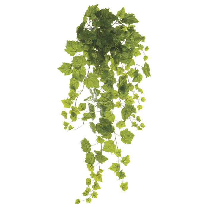 large hanging ivy plant 38" One-Piece Construction Grape Ivy Large Leaf Silk Hanging Plant -Green (Pack of 6)