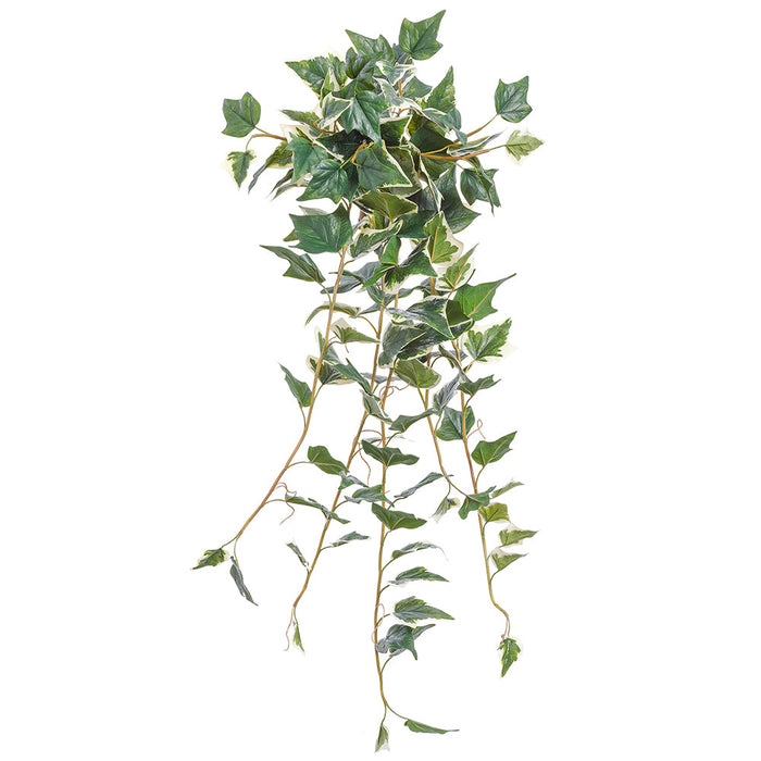 48" Ivy Leaf Silk Hanging Plant -Green/White (Pack of 6) - PBI630-GR/WH