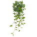 48" Ivy Leaf Silk Hanging Plant -Green (Pack of 6) - PBI630-GR