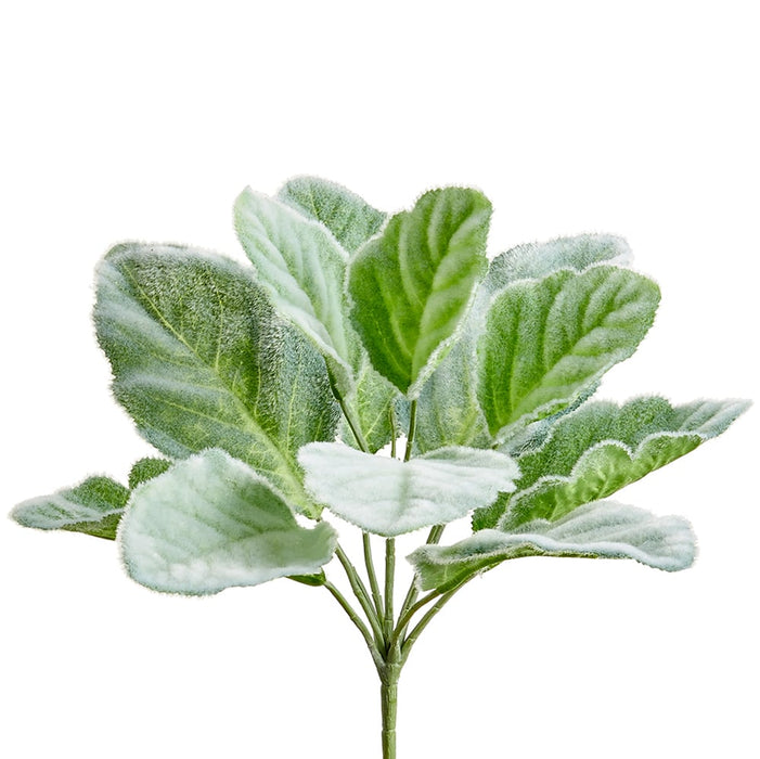 10" Silk Lamb's Ear Leaf Plant -Green/Gray (pack of 12) - PBL010-GR/GY