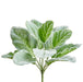 10" Silk Lamb's Ear Leaf Plant -Green/Gray (pack of 12) - PBL010-GR/GY