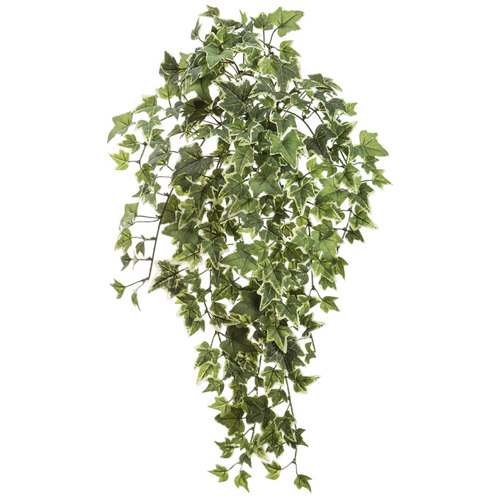 23" Mini English Ivy Leaf Silk Hanging Plant -Frosted Variegated (pack of 12) - PBL753-VG/FS