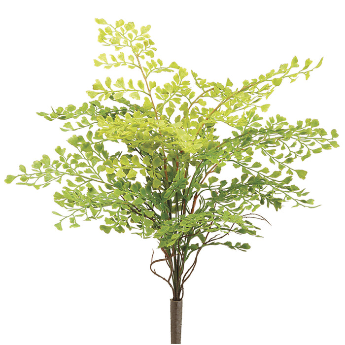 20" Soft Touch Maidenhair Fern Silk Plant -Green (pack of 12) - PBM027-GR