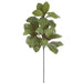 43" Silk Magnolia Leaf Stem -Green (Pack of 6) - PBM106-GR