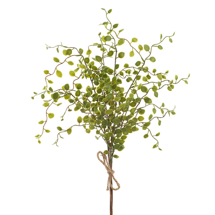 17" PE Soft-Touch Muehlenbeckia Wire Leaf Artificial Stem Bundle -Green (Pack of 24) - PBM438-GR