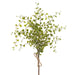 17" PE Soft-Touch Muehlenbeckia Wire Leaf Artificial Stem Bundle -Green (Pack of 24) - PBM438-GR