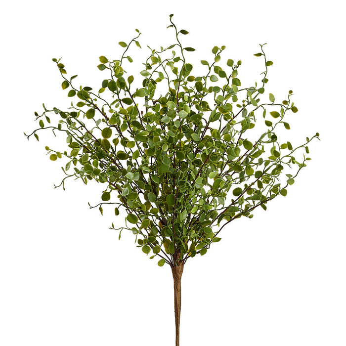 10" Muehlenbeckia Wire Leaf Artificial Plant -Green (Pack of 12) - PBM518-GR