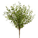 10" Muehlenbeckia Wire Leaf Artificial Plant -Green (Pack of 12) - PBM518-GR