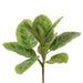 11" Prayer Maranta Silk Plant -2 Tone Green (pack of 12) - PBM717-GR/TT