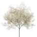 15" Artificial Spanish Moss Plant -Moss (pack of 12) - PBM815-MO