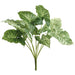 12" Nephthytis Leaf Silk Plant -2 Tone Green (Pack of 6) - PBN123-GR/TT