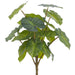 13" Nephthytis Leaf Silk Plant -2 Tone Green (Pack of 6) - PBN554-GR/TT