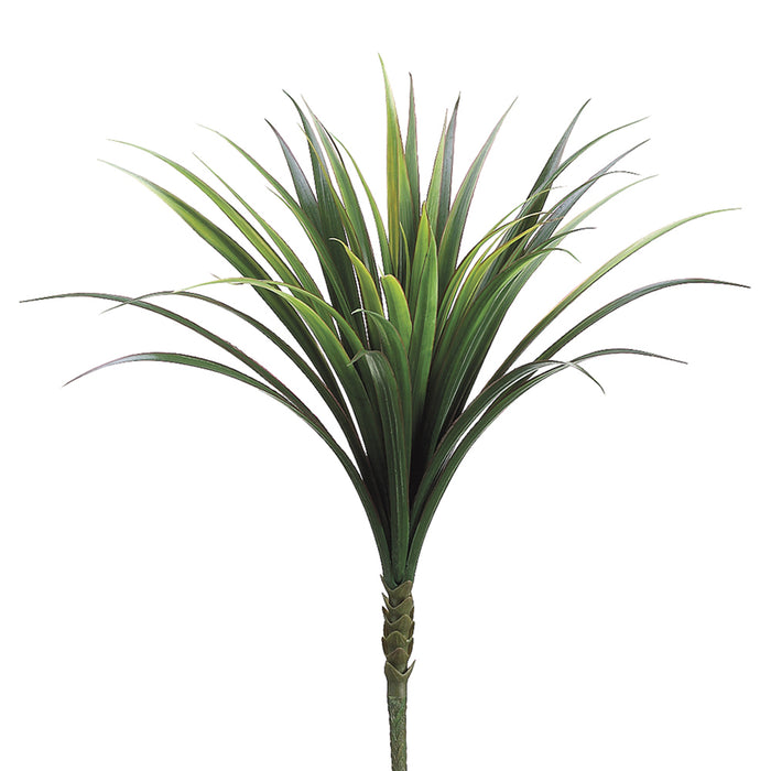 23" Plastic Dracaena Silk Plant -Green/Red (pack of 6) - PBO944-GR/RE