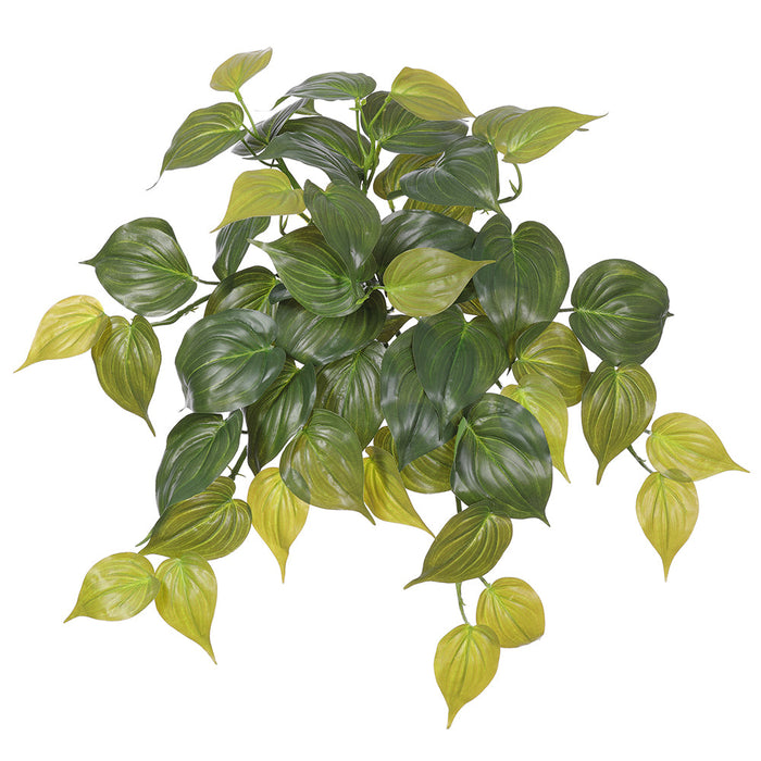 19" Real Touch Hanging Philodendron Micans Leaf Silk Plant -2 Tone Green (pack of 12) - PBP004-GR/TT
