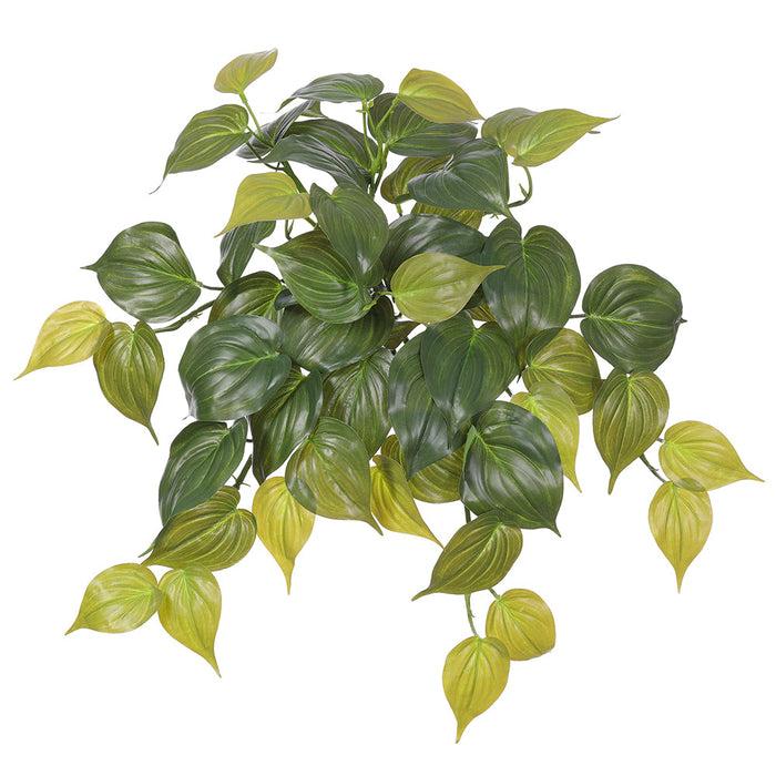 19" Real Touch Hanging Philodendron Micans Leaf Silk Plant -2 Tone Green (Pack of 12) - PBP004-GR/TT