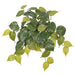 19" Real Touch Hanging Philodendron Micans Leaf Silk Plant -2 Tone Green (Pack of 12) - PBP004-GR/TT