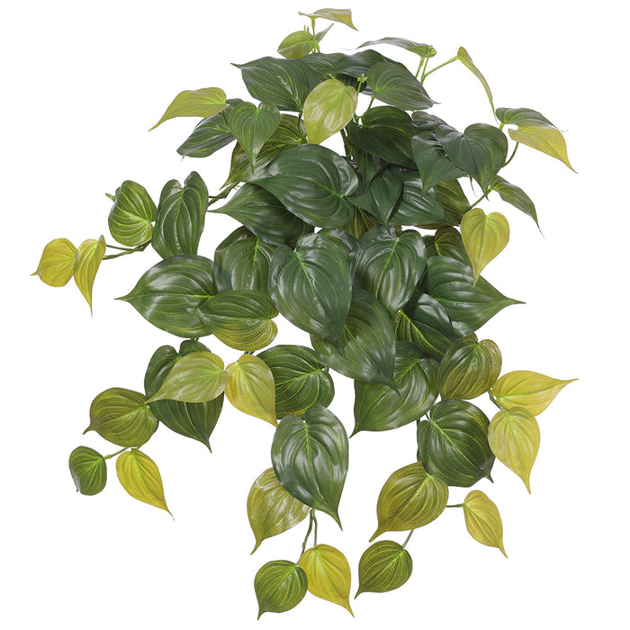 philodendron hanging 23" Real Touch Hanging Philodendron Micans Leaf Silk Plant -2 Tone Green — Silks Are Forever