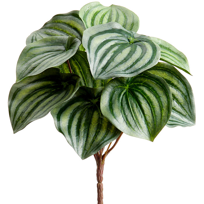 9" Silk Peperomia Leaf Plant -Green/Variegated (pack of 12) - PBP009-GR/VG