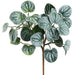 10" PE Soft-Touch Pepperomia Artificial Plant -Green/Gray (Pack of 24) - PBP011-GR/GY