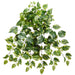 30" Hanging Pothos Leaf Silk Plant -Green/Variegated (pack of 12) - PBP033-GR/VG