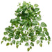 30" Hanging Pothos Leaf Silk Plant -Green (pack of 12) - PBP033-GR