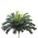 25" Cycas King Sago Silk Palm Plant -35 Stems (pack of 6) - PBP035-